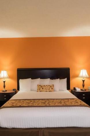 Room #25885814 at Oakland Airport Executive Hotel
