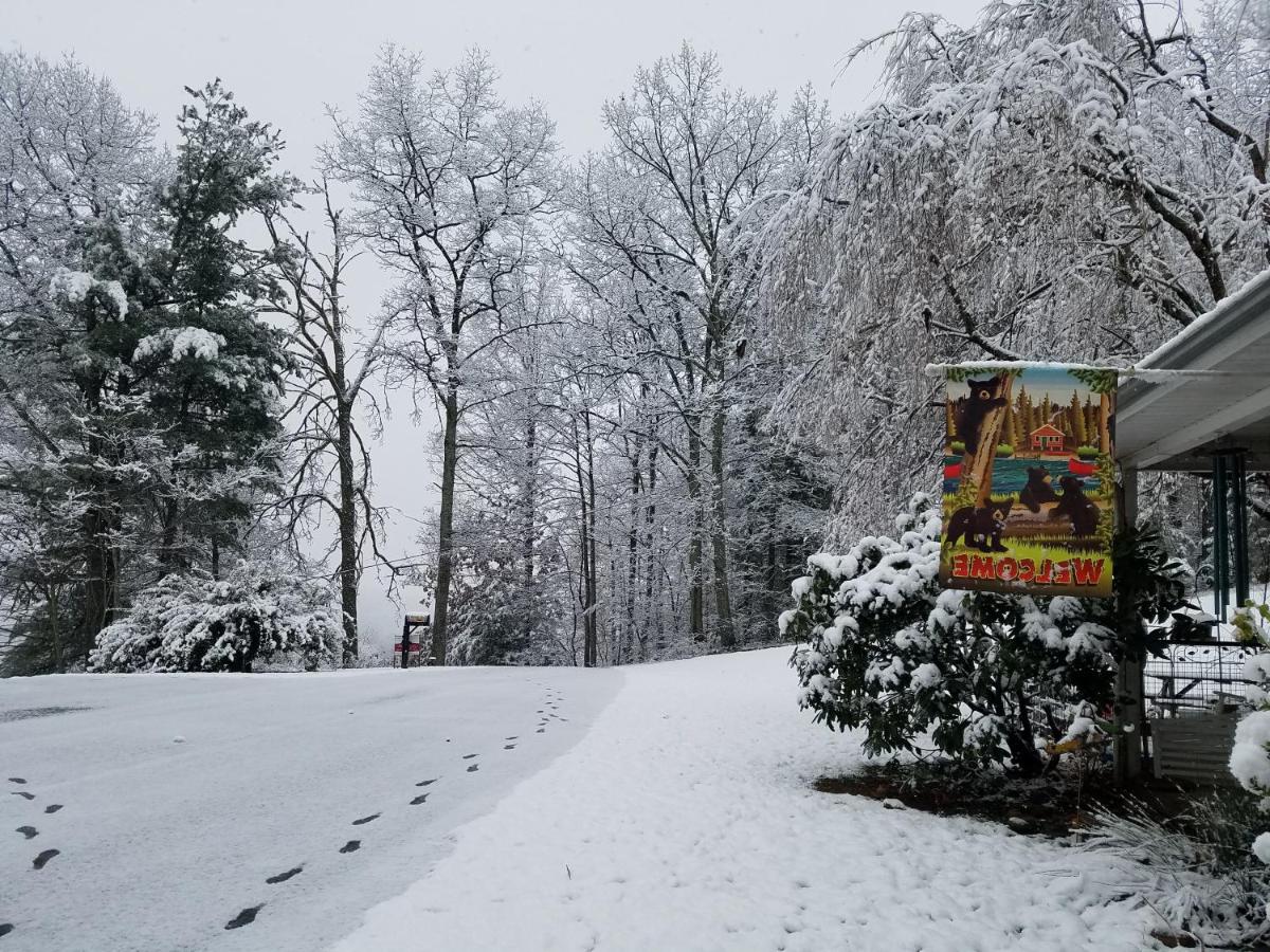 | Blue Ridge Manor Bed and Breakfast