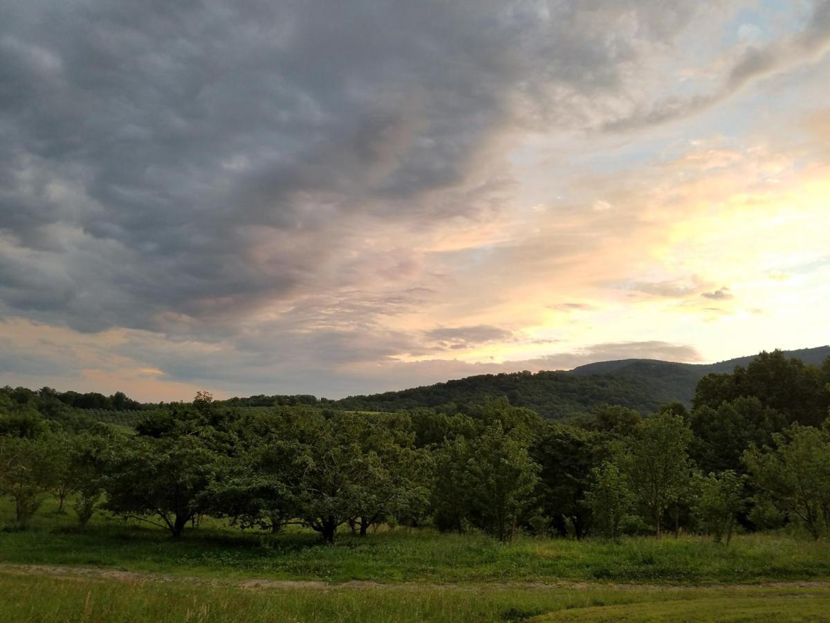 | Blue Ridge Manor Bed and Breakfast