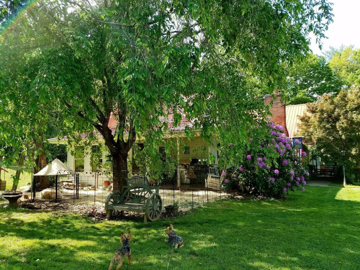 | Blue Ridge Manor Bed and Breakfast