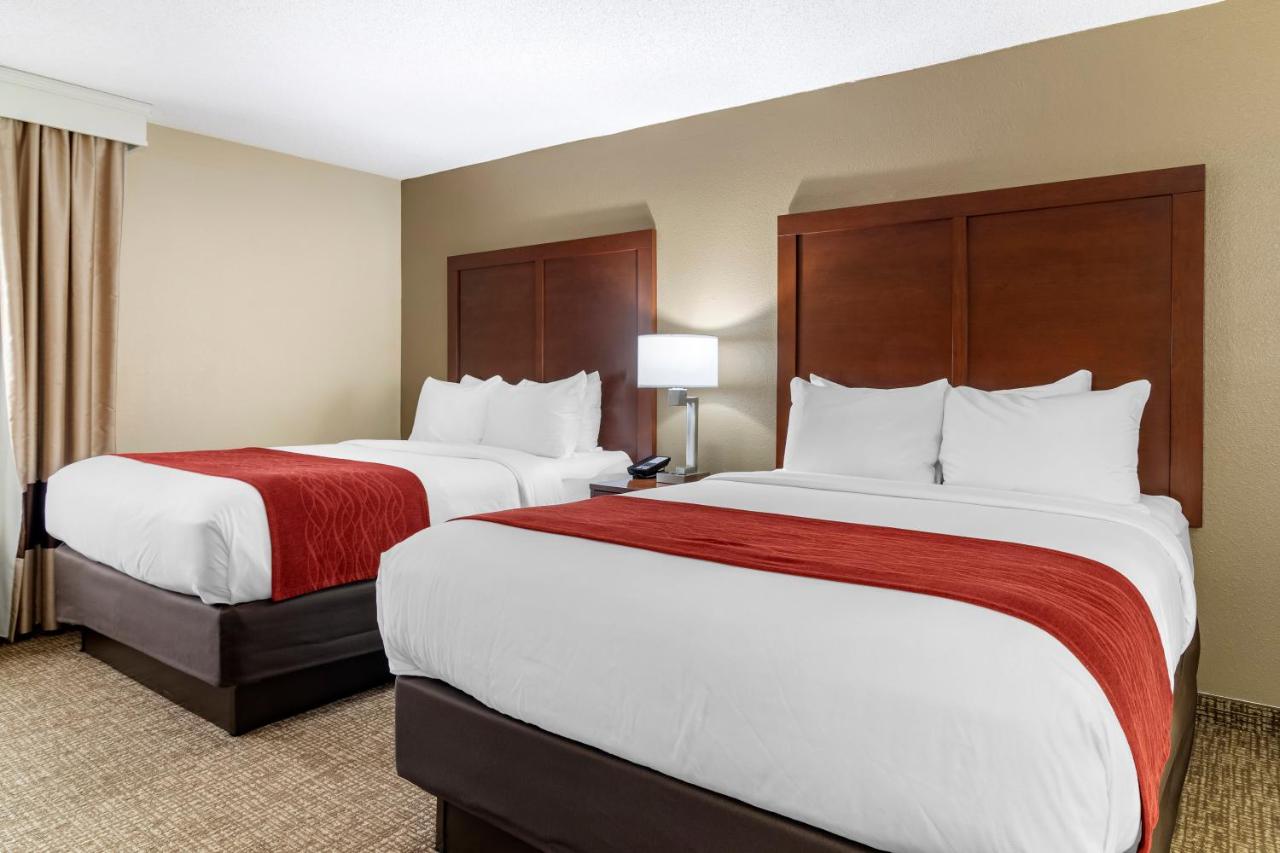 Queen Suite with Two Queen Beds - Non-Smoking at Comfort Inn & Suites Macon North I-75