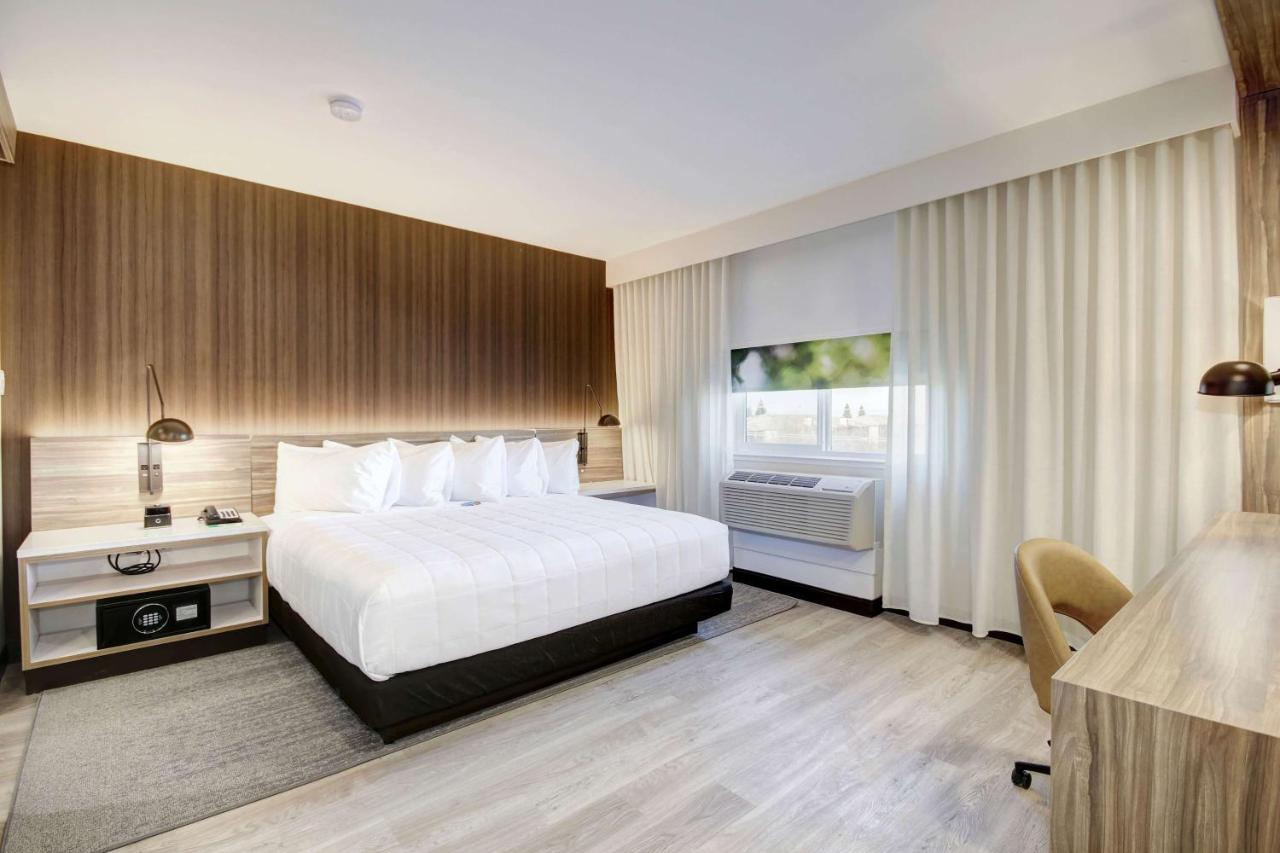 King Room - Non-Smoking at Wyndham Garden Sacramento Airport Natomas