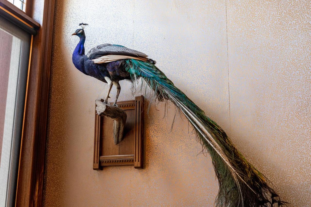  | The Strater Hotel