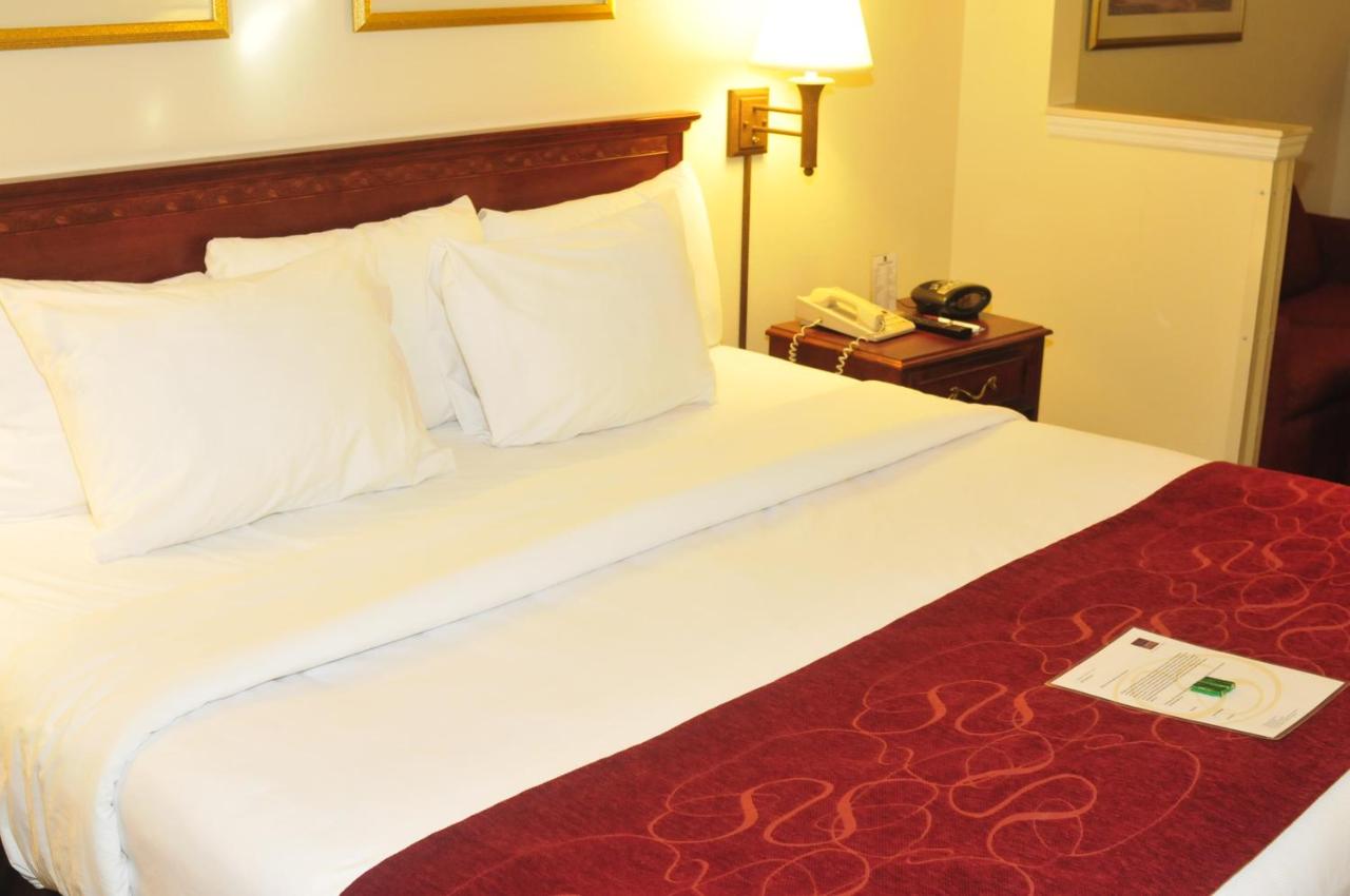 King Room at Comfort Suites Newark - Harrison