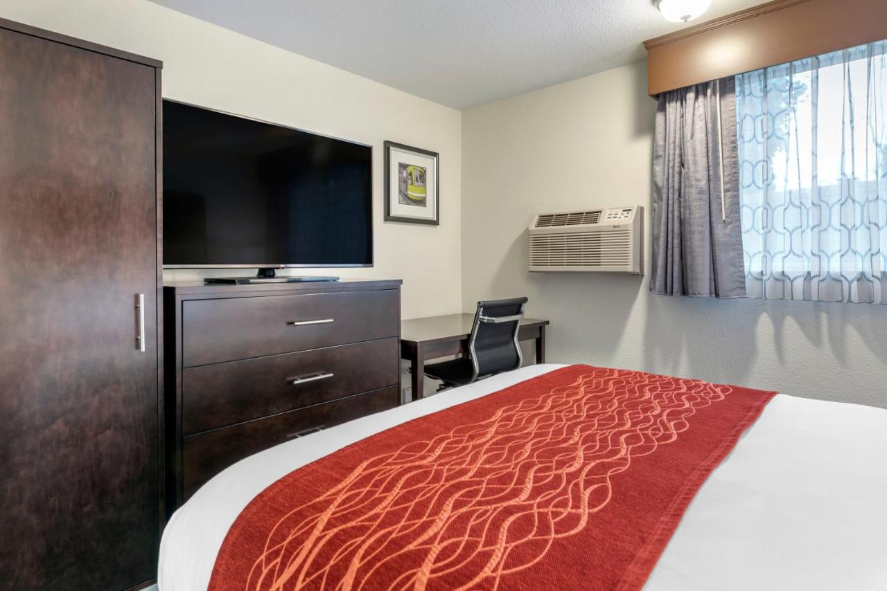 Queen Room - Non-Smoking at Comfort Inn & Suites Tigard near Washington Square