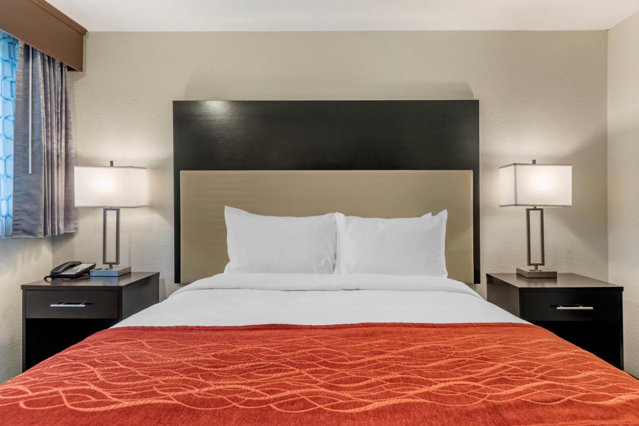 Queen Room - Non-Smoking at Comfort Inn & Suites Tigard near Washington Square