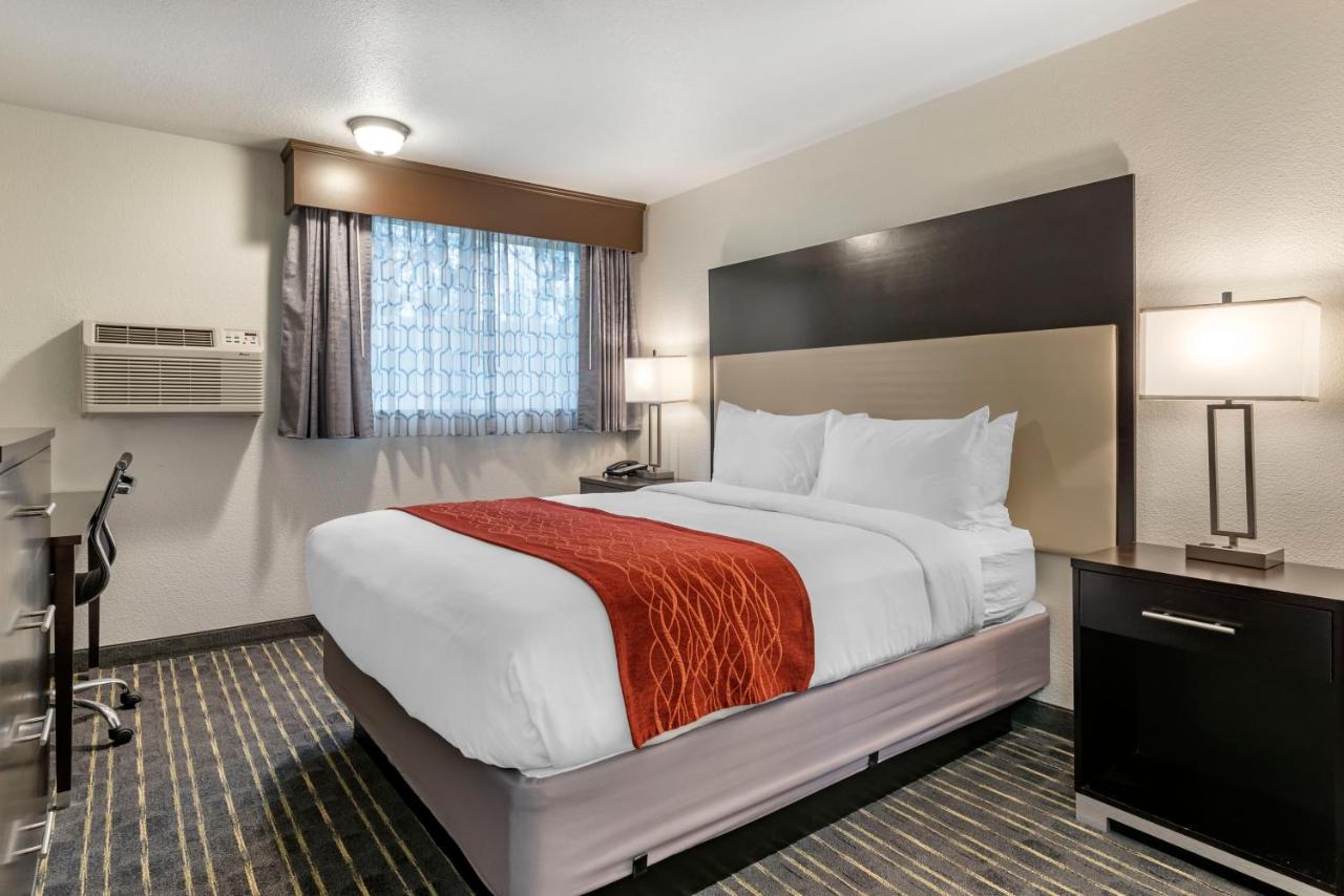Queen Room - Non-Smoking at Comfort Inn & Suites Tigard near Washington Square