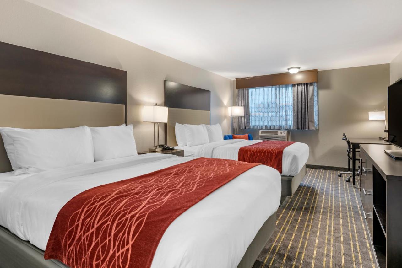 Queen Room with Two Queen Beds - Non-Smoking at Comfort Inn & Suites Tigard near Washington Square