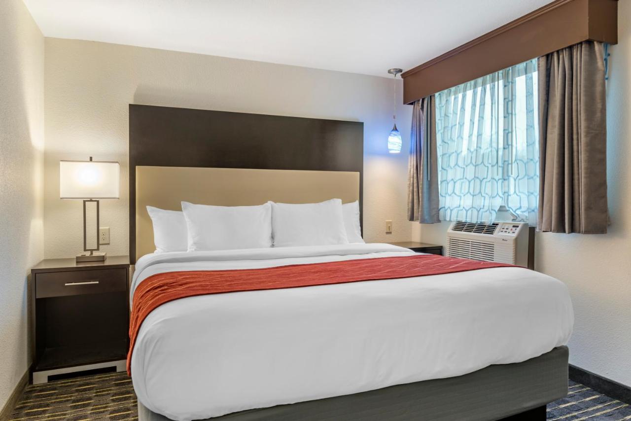 King Suite - Non-Smoking at Comfort Inn & Suites Tigard near Washington Square
