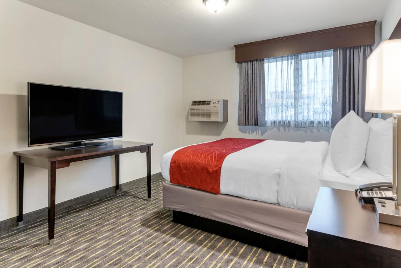 Queen Room - Accessible/Non-Smoking at Comfort Inn & Suites Tigard near Washington Square