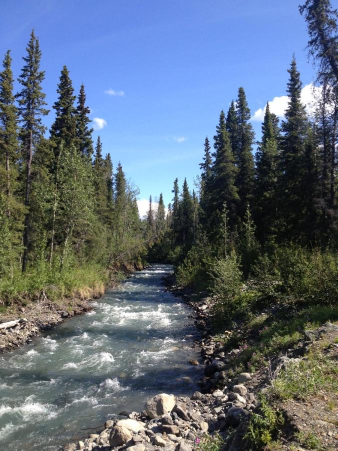 | Carlo Creek Cabins