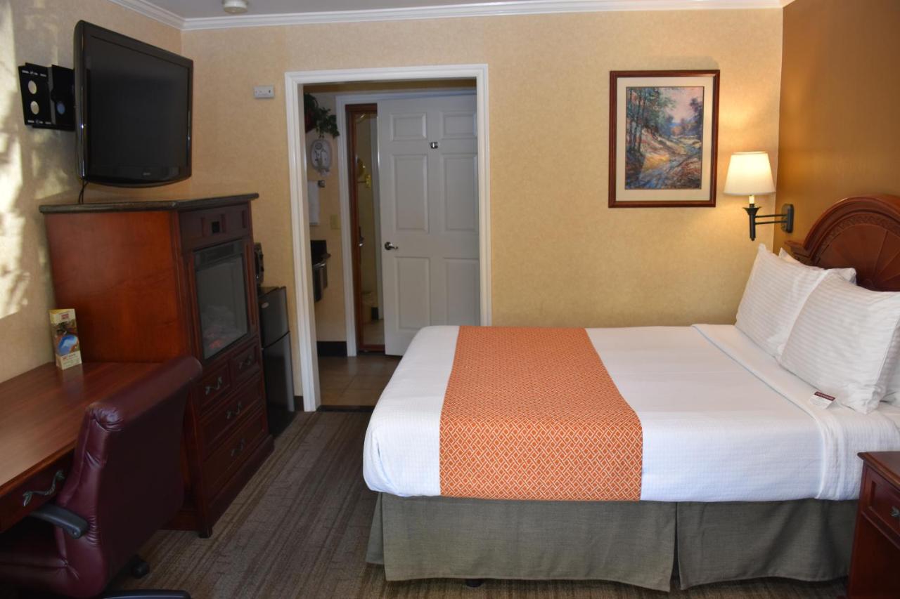 Deluxe Single Queen at Dynasty Suites Redlands
