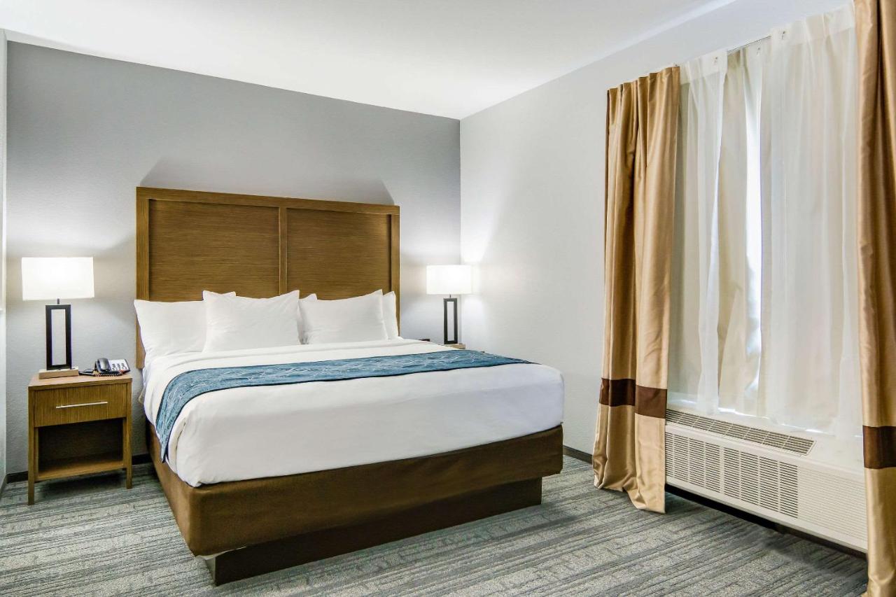 Efficiency King Suite - Accessible/Non-Smoking at Comfort Suites DeSoto Dallas South