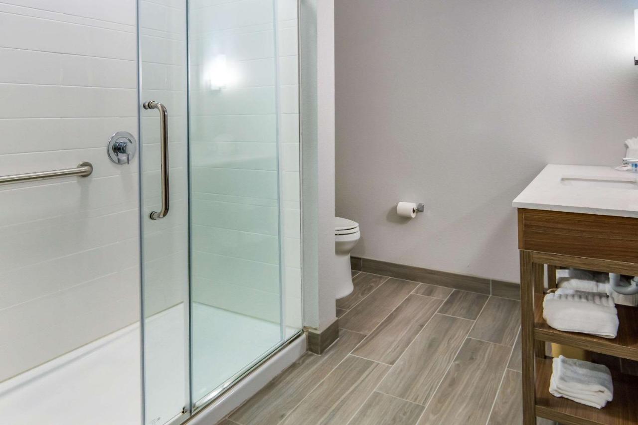 Efficiency King Suite - Non-Smoking at Comfort Suites DeSoto Dallas South
