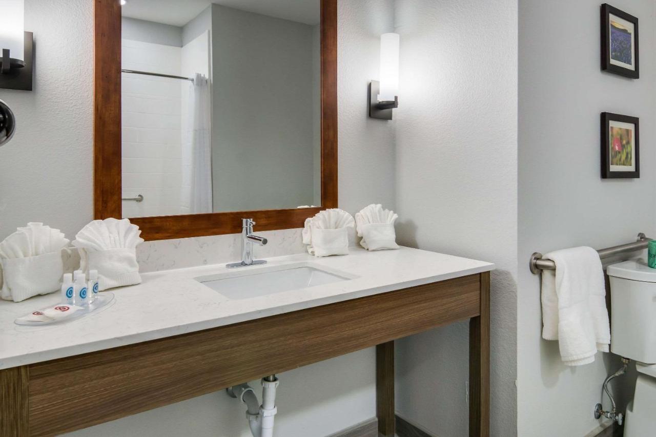 Efficiency King Suite - Accessible/Non-Smoking at Comfort Suites DeSoto Dallas South