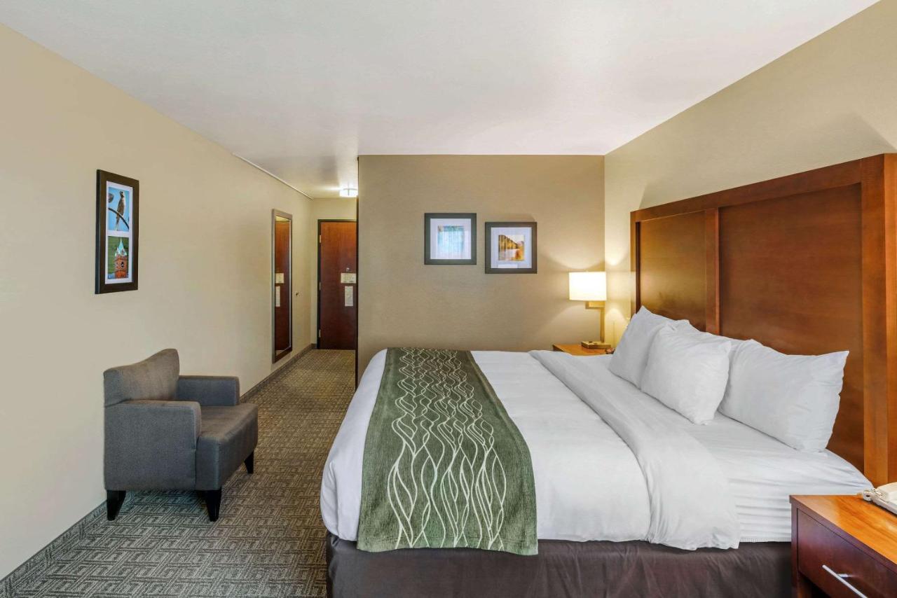 King Room - Accessible/Non-Smoking at Comfort Inn Missoula near University