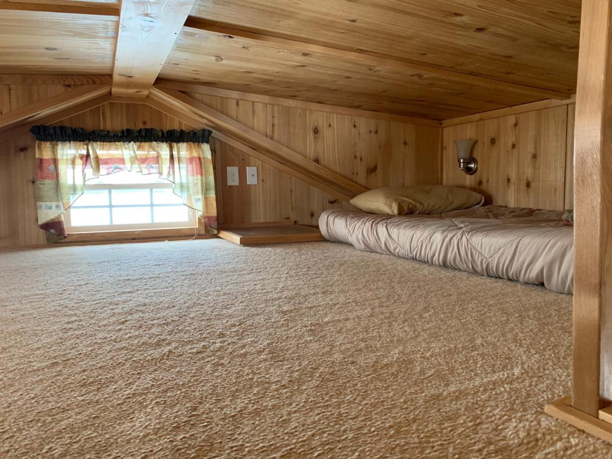 | Bearlodge Mountain Resort