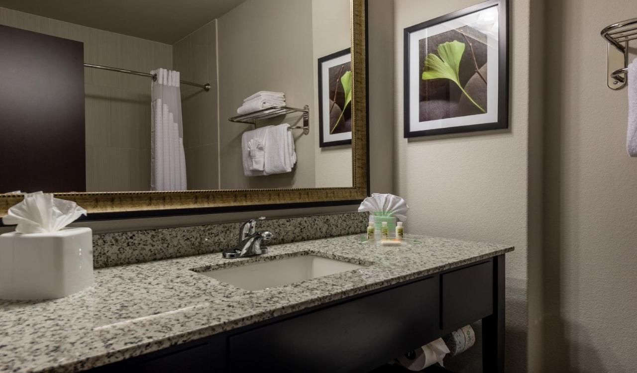 Corner King Room at Holiday Inn Austin Airport by IHG