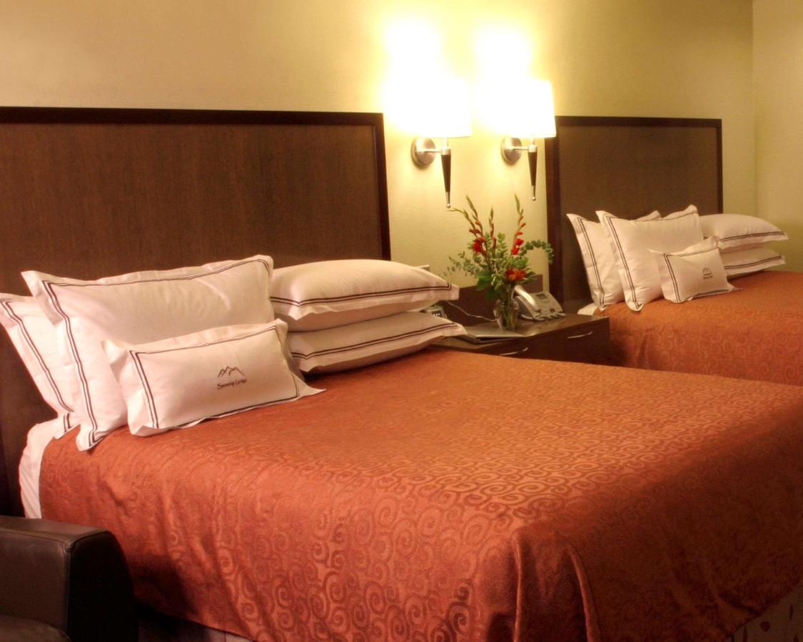 Oversized Queen Room - Non-Smoking at Best Western Snowcap Lodge