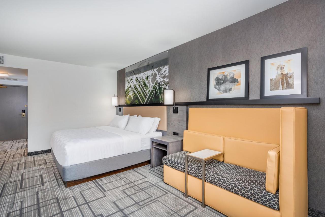 King Room at Holiday Inn Lafayette-City Centre, an IHG Hotel