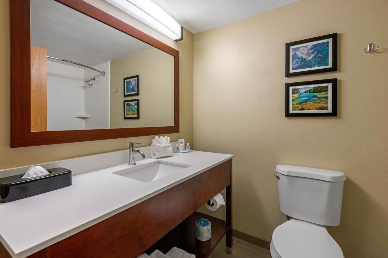 Queen Room with Two Queen Beds - Accessible/Non-Smoking at Comfort Inn Ocala Silver Springs