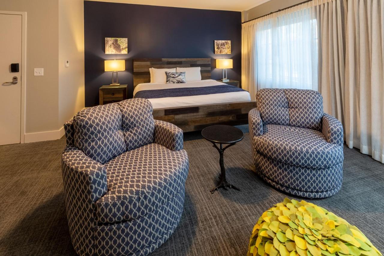 | The Residences at Biltmore - Asheville