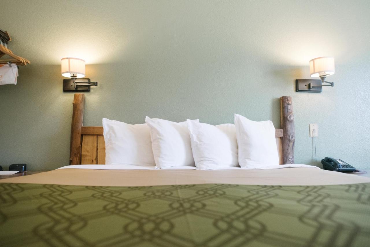 | Econo Lodge, Downtown Custer Near Custer State Park and Mt Rushmore