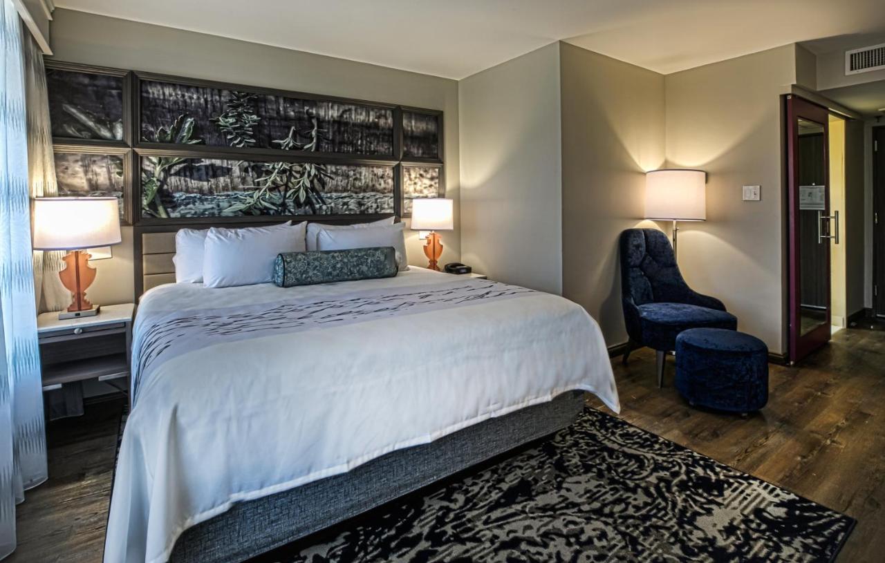Standard Room at Hotel Indigo Birmingham Five Points S - UAB, an IHG Hotel