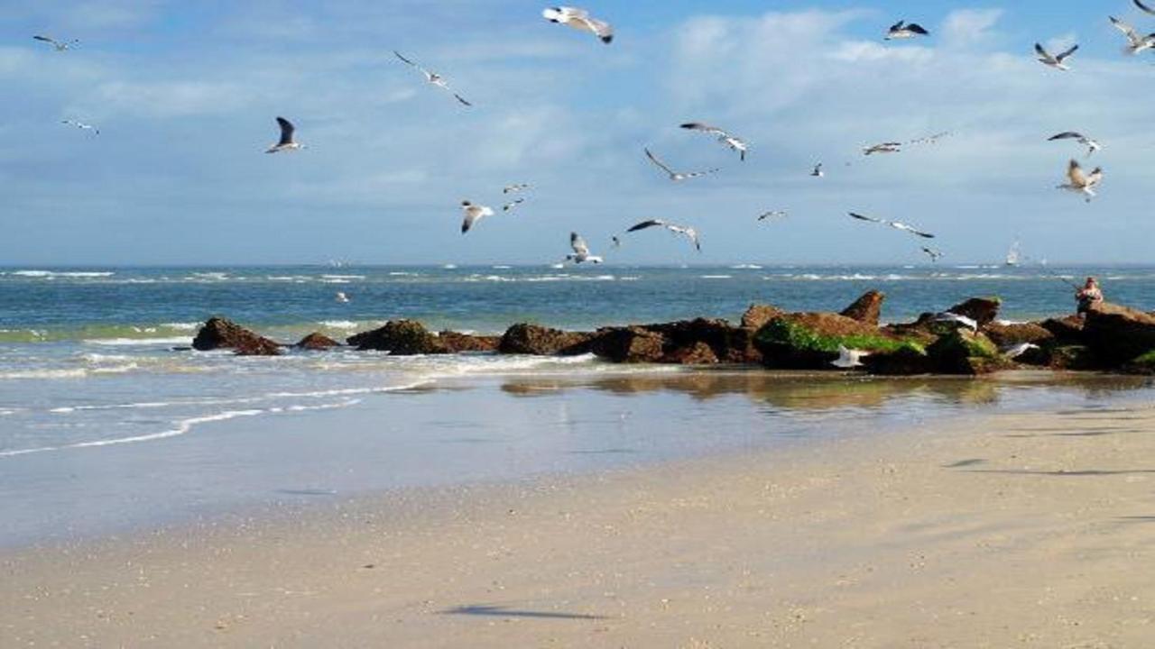 | The Saint Augustine Beach House