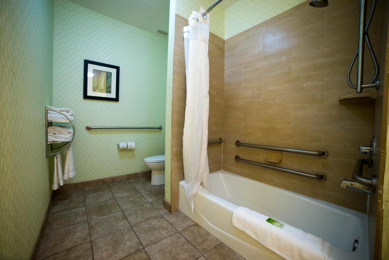 King Room with Bath Tub - Hearing Accessble/Non-Smoking at Holiday Inn Express & Suites Atlanta East – Lithonia by IHG