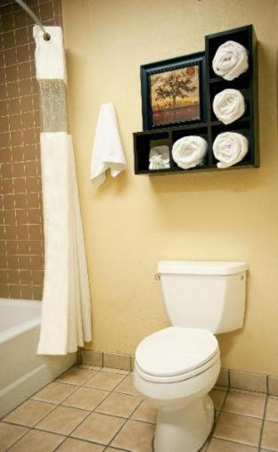 Room #33435917 at Best Western Plus Forest Park Inn