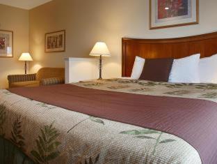 Room #53236417 at Best Western I-5 Inn & Suites