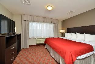 Room #73458651 at Baymont by Wyndham Brooklyn Center