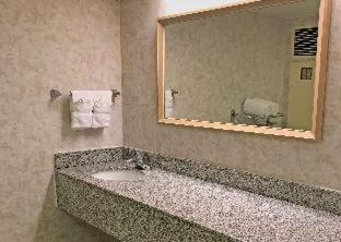 Room #18073615 at Red Lion Hotel Rosslyn Iwo Jima