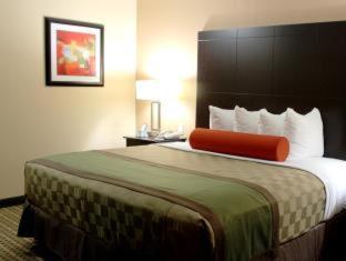 Room #31998427 at Best Western Plus Edinburg Inn & Suites