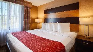 Room #51332222 at Spark by Hilton Destin