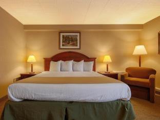Room #34535017 at Best Western Woodhaven Inn