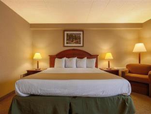 Room #34535018 at Best Western Woodhaven Inn