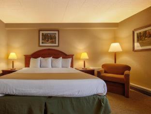 Room #34535019 at Best Western Woodhaven Inn