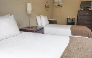 Room #23845915 at Casa Loma Hotel