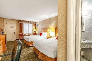 Room #18073620 at Red Lion Hotel Rosslyn Iwo Jima