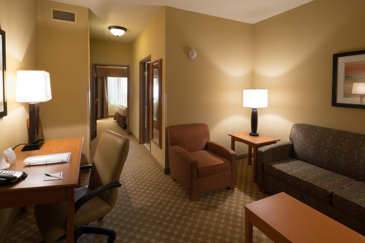 One-Bedroom King Suite at Holiday Inn Express & Suites Chicago West-Roselle by IHG