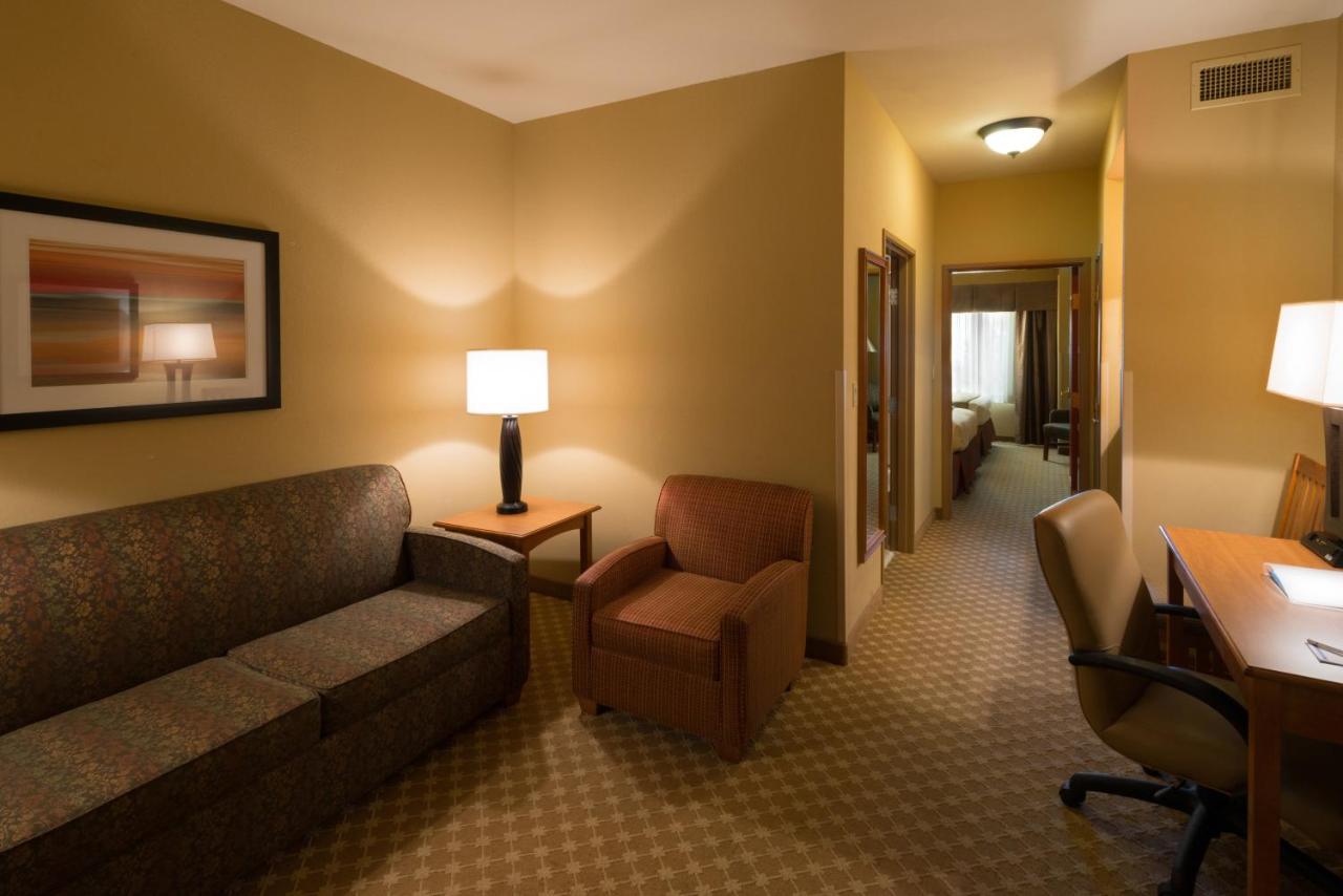 Suite - Hearing Accessible at Holiday Inn Express & Suites Chicago West-Roselle by IHG