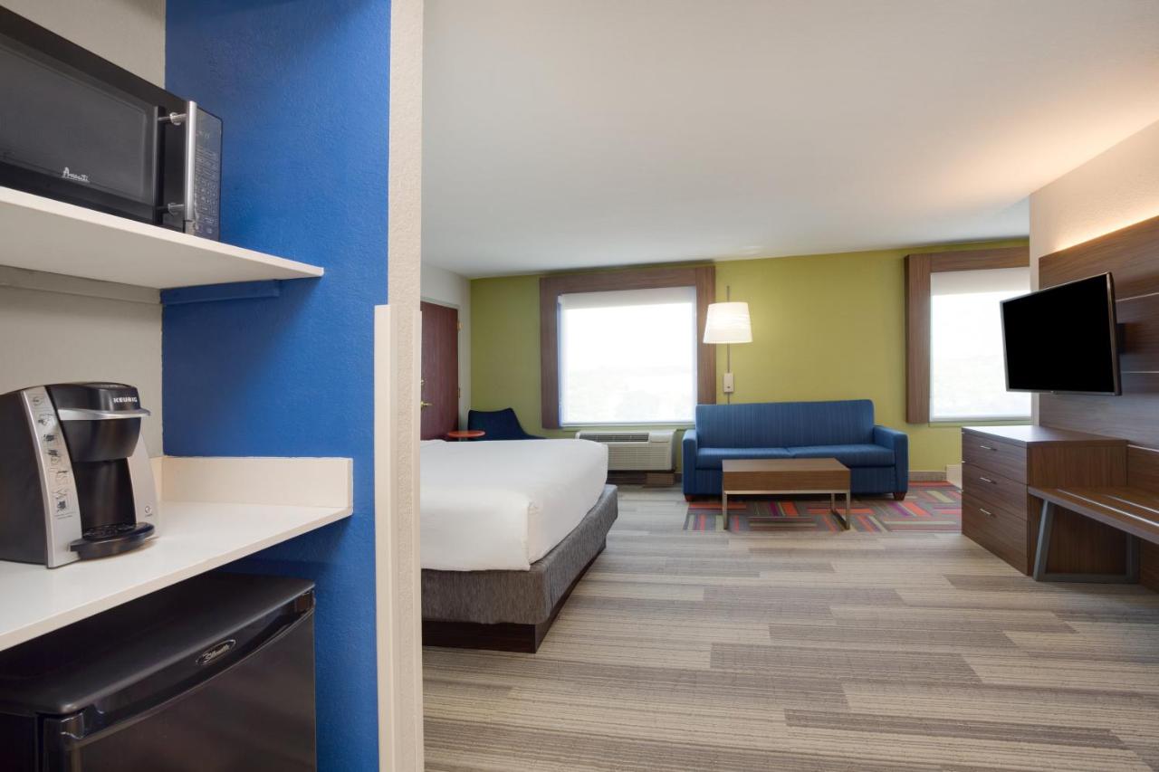 King Suite with Sofa Bed - Non-Smoking at Holiday Inn Express Hotel & Suites Tampa-Fairgrounds-Casino by IHG