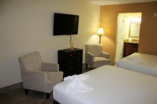 Room #85358516 at Park Royal Orlando managed by Accor