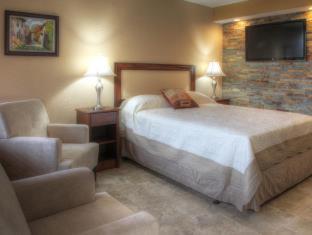 Room #85358518 at Park Royal Orlando managed by Accor
