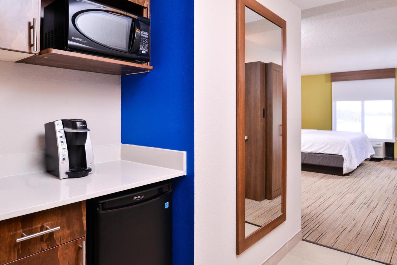 King Suite - Non-Smoking at Holiday Inn Express Hotel & Suites Tampa-Anderson Rd/Veteran by IHG