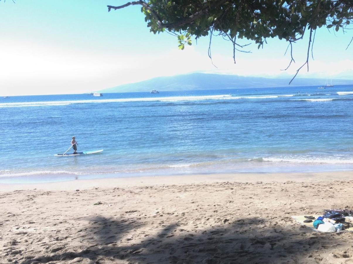 | Tiki Beach Hostel-At The Beach in Lahaina