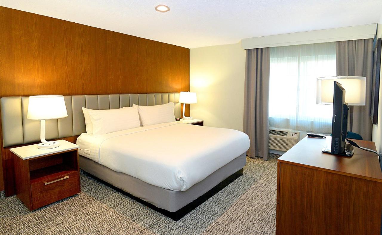 Executive King Room at Holiday Inn Hotel & Suites San Mateo-San Francisco SFO by IHG