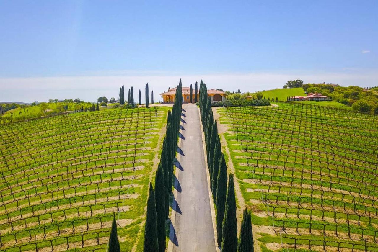 | Aterno Vineyard, Guest House